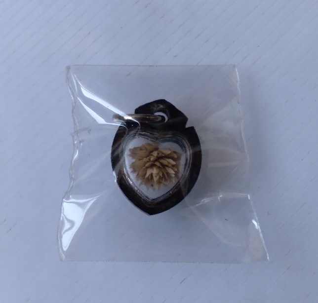 ดอกบานไม่รู้โรยหลวงพ่อแก้ว วัดหัวนา จ.เพชรบุรี