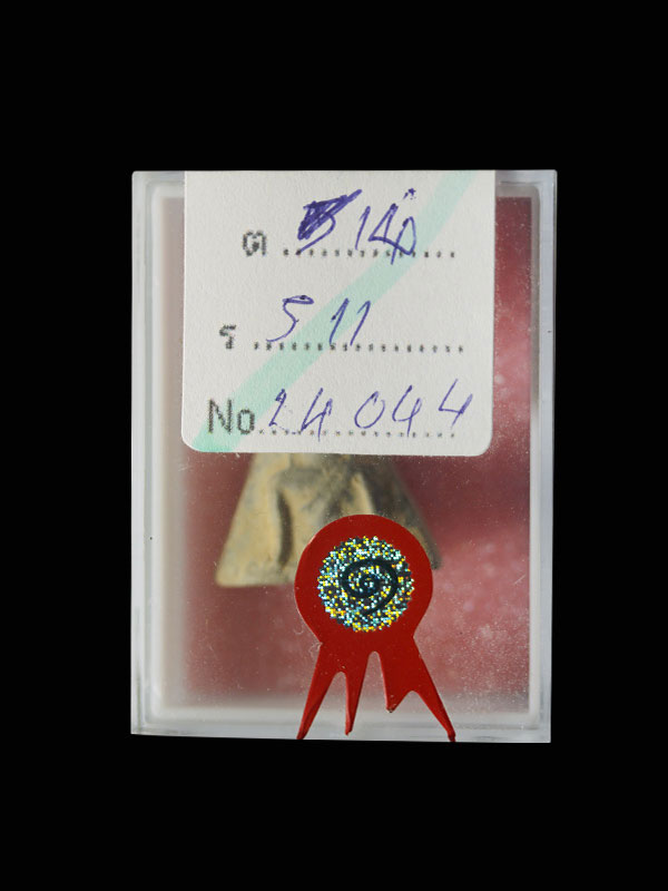 นางพญา ร.พ.สงฆ์ เนื้อดิน สวยแชมป์ มาพร้อมใบประกาศงานสมาคมครับ