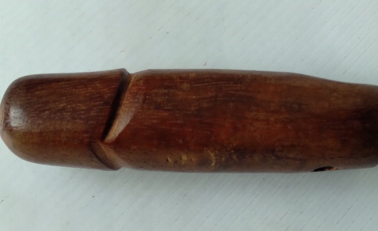 ปลัดขิกไม้แกะไม่ทราบที่