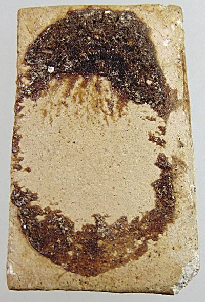 พระผงวัดเกาะลอย จ.ระยอง ปี 2514 หลวงปู่ทิม วัดละหารไร่ ร่วมปลุกเสก