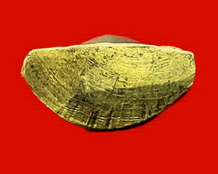 พระกริ่งชัยชุมพล หลวงปู่เปลี่ยน วัดไชยชุมพลชนะสงคราม(วัดใต้) จ.กาญจนบุรี สวยมากค่ะ