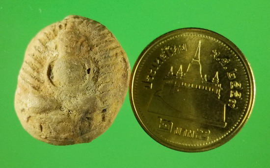 พระสังกัจจายน์ เนื้อดิน พิมพ์รัศมี