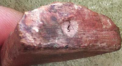 *พระพุทธชินราช เนื้อดินผสมแร่เหล็กน้ำพี้ อุดผงรัตนมาลา หลวงพ่อสละ เถรปัญโญ วัดประดู่ทรงธรรม อยุธยา*