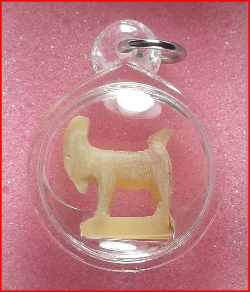 แพะเขาควายเผือกแกะ หลวงพ่อลัด วัดหนองกะบอก จ.ระยอง พร้อมเลี่ยม