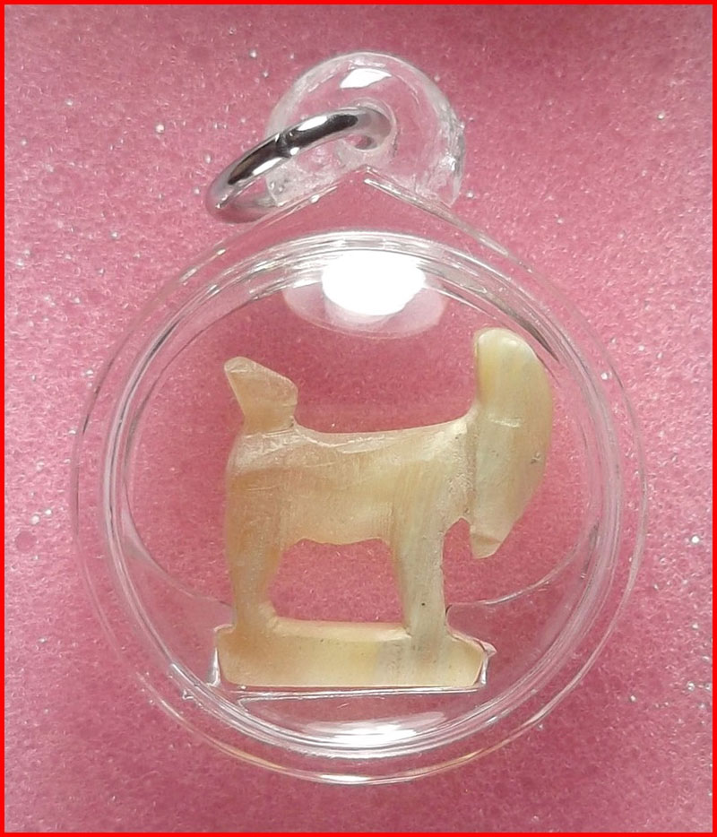 แพะเขาควายเผือกแกะ หลวงพ่อลัด วัดหนองกะบอก จ.ระยอง พร้อมเลี่ยม