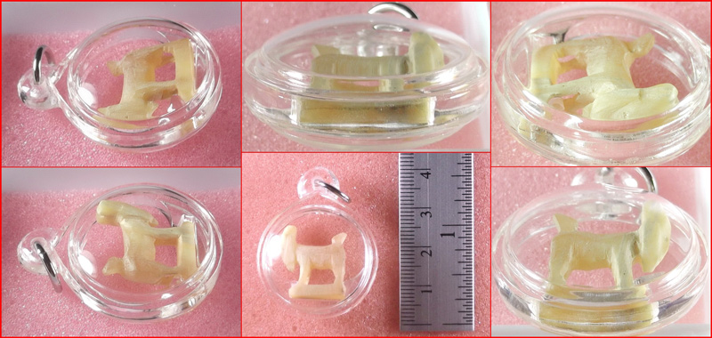 แพะเขาควายเผือกแกะ หลวงพ่อลัด วัดหนองกะบอก จ.ระยอง พร้อมเลี่ยม