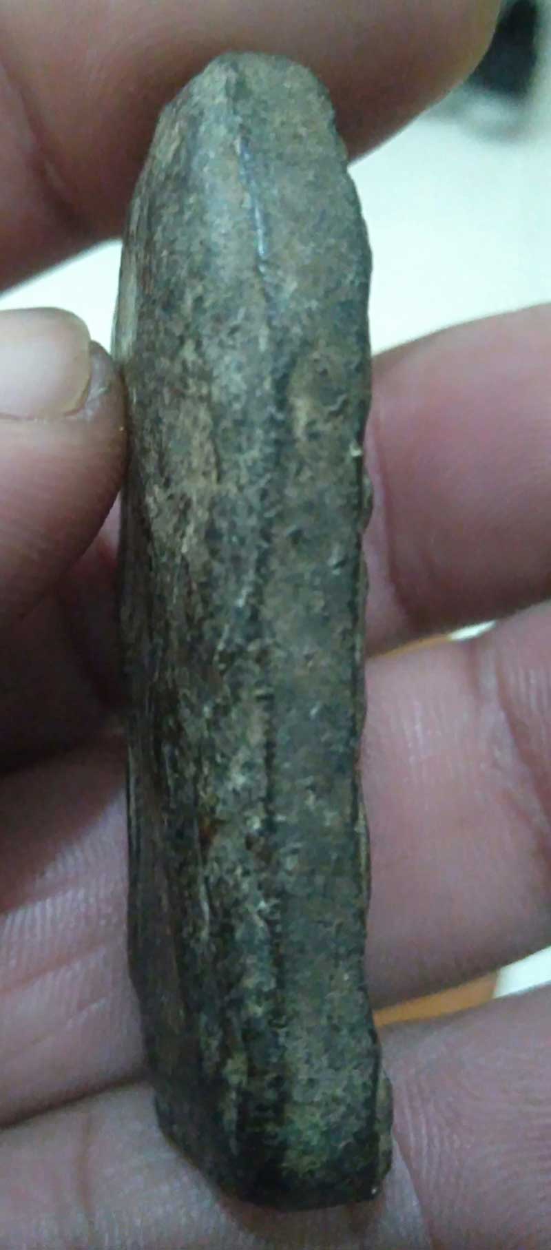 สิวลีใบมะยม  พิมพ์ใหญ่  หลวงพ่อกวย  วัดโฆสิตาราม