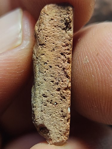 วัดอรุณ(วัดแจ้ง) กทม พระนางพญาเนื้อดิน พระครูลืม  ปี ๒๔๘๔ แจกตอนสงครามโลกครั้งที่สอง