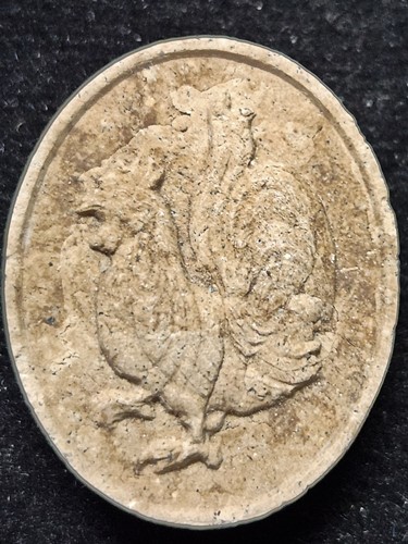 วัดถ้ำพรหมสวัสดิ์ จ.ลพบุรี พญาไก่เถื่อน หลวงปู่สรวง รุ่นแรก  ปี2554 เนื้อผงพุทธคุณ