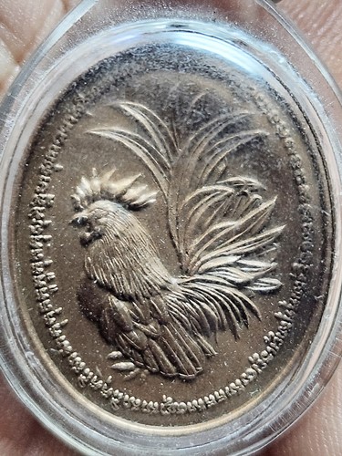 วัดถ้ำพรหมสวัสดิ์ จ.ลพบุรี เหรียญพญาไก่เถื่อน หลวงปู่สรวง  รุ่นสร้างบารมีสรงน้ำ78 เนื้อทองแดงซาติน 2