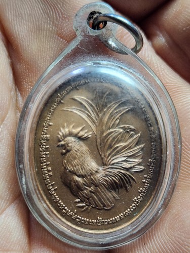 วัดถ้ำพรหมสวัสดิ์ จ.ลพบุรี เหรียญพญาไก่เถื่อน หลวงปู่สรวง  รุ่นสร้างบารมีสรงน้ำ78 เนื้อทองแดงซาติน 2