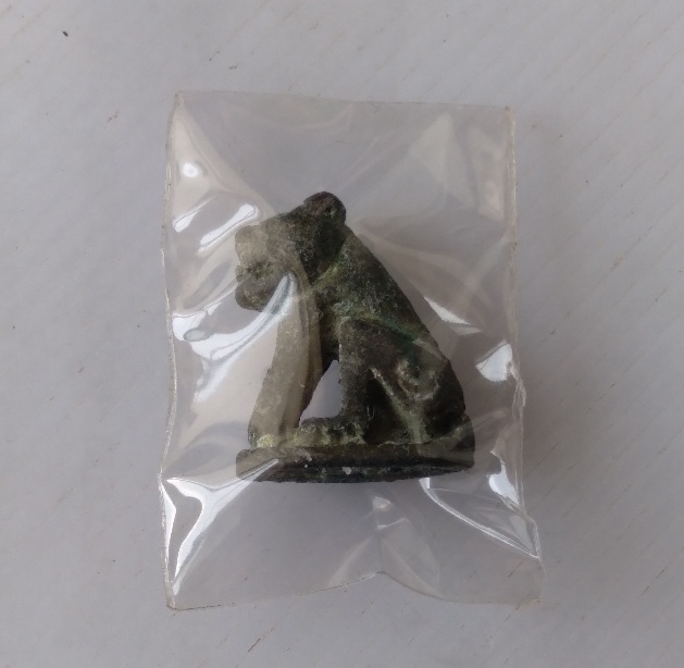 เสือตะกั่วไม่ทราบที่