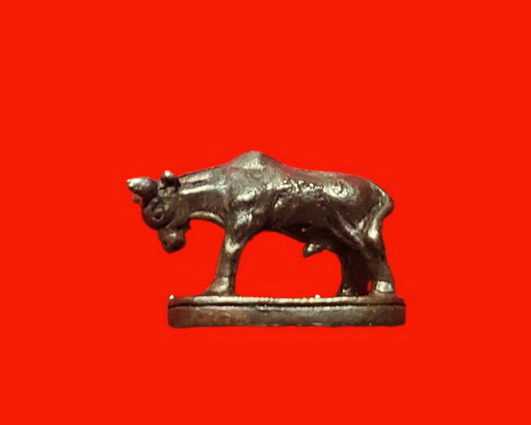 วัวธนูหลวงพ่อแช่ม วัดดอนยายหอม จ.นครปฐม เนื้อทองผสม สวยมากค่ะ