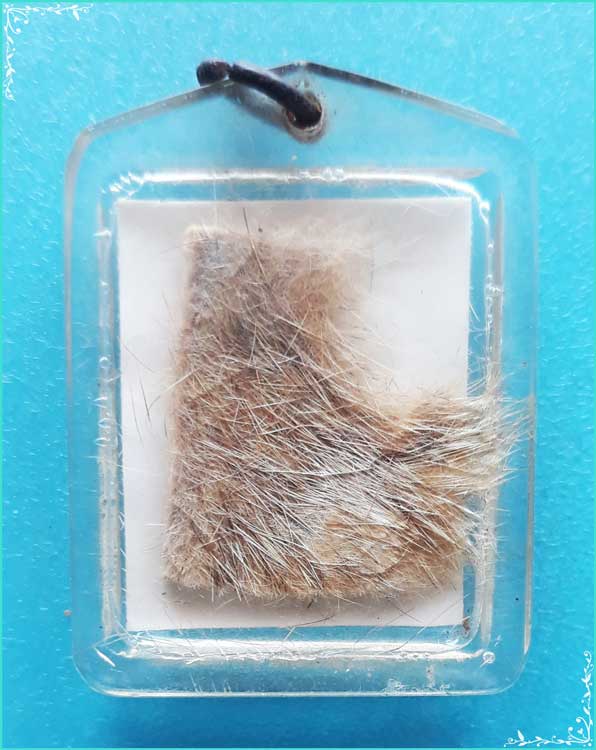 ..ลป.อ่อน วัดเนินมะเกลือ พล. รูปถ่ายขาวดำ ครึ่งองค์ หลัง หนังเสือ ขนาด 1 นิ้ว เลี่ยมเก่า..