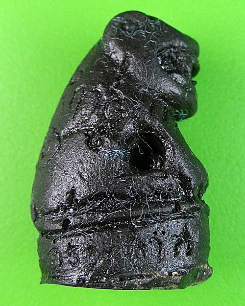 เสือหลวงปู่ปาน คลองด่าน สมุทรปราการ .206.