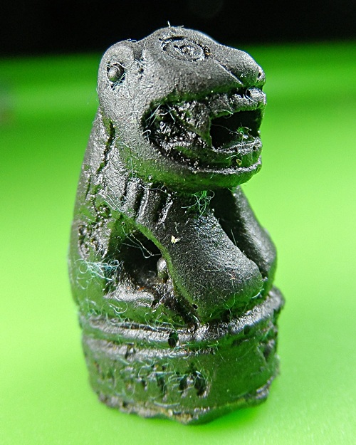 เสือหลวงปู่ปาน คลองด่าน สมุทรปราการ .206.