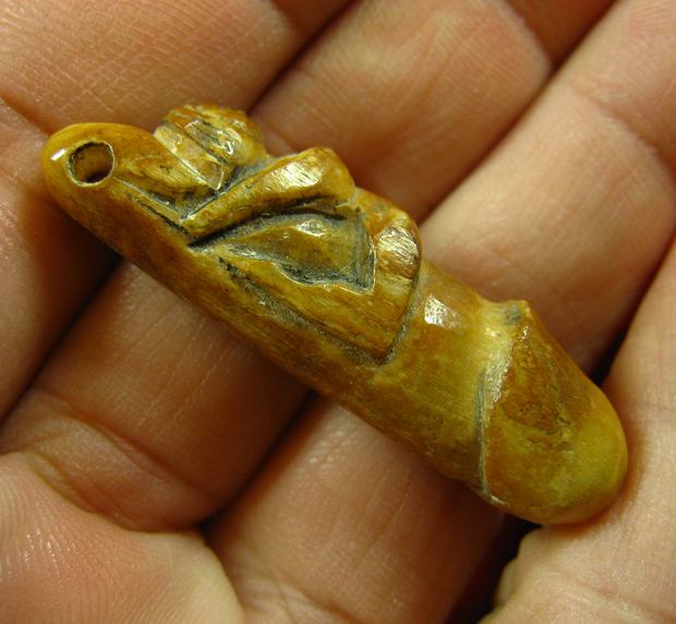 เขี้ยวแกะ ปลัดขิก นางแอ่น ความยาวประมาณ 3.8 เซนติเมตร 