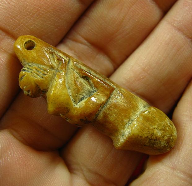 เขี้ยวแกะ ปลัดขิก นางแอ่น ความยาวประมาณ 3.8 เซนติเมตร 