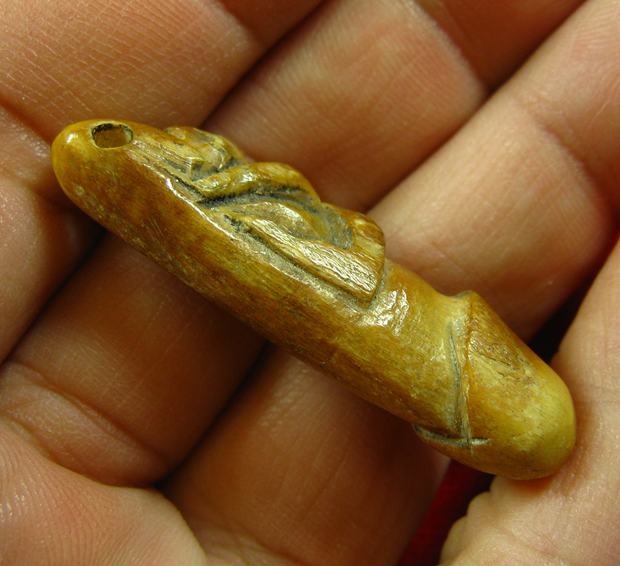 เขี้ยวแกะ ปลัดขิก นางแอ่น ความยาวประมาณ 3.8 เซนติเมตร 