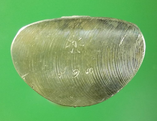 พระกริ่งนฤมิตรโชค เนื้อเงิน พิมพ์ใหญ่ หลวงพ่อจรัญ วัดอัมพวัน ปี 2554 เลข 913