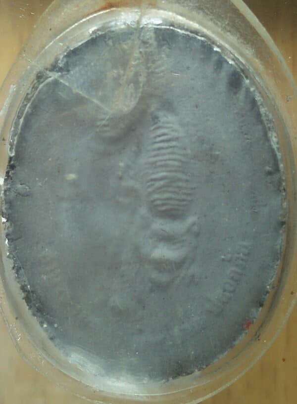 เหรียญหลวงพ่อจำเนียร วัดถ้ำเสือ กระบี่ เนื้อผง เลี่ยมพลาสติก