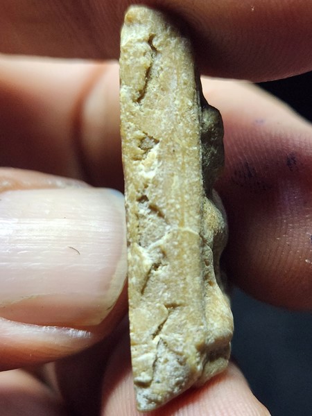 พระสมเด็จนางพญา รุ่นแรก วัดป่าคา จ.อยุธยา หลวงปู่โต๊ะ วัดประดูฉิมพลี ปลุกเสกผงเพื่อเพื่อนำมาใช้ทำ