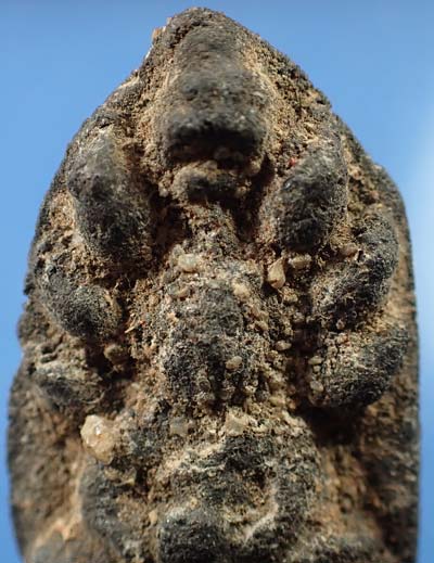 พระนาคปรก หลวงพ่อหวาด วัดเพชรพลี จังหวัดเพชรบุรี พ.ศ.๒๔๘๐ เนื้อแร่ ที่สุดแห่งความหายาก*105