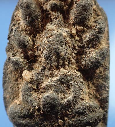 พระนาคปรก หลวงพ่อหวาด วัดเพชรพลี จังหวัดเพชรบุรี พ.ศ.๒๔๘๐ เนื้อแร่ ที่สุดแห่งความหายาก*105