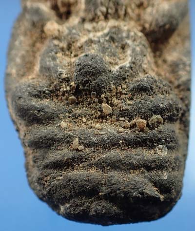 พระนาคปรก หลวงพ่อหวาด วัดเพชรพลี จังหวัดเพชรบุรี พ.ศ.๒๔๘๐ เนื้อแร่ ที่สุดแห่งความหายาก*105