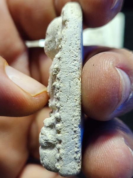 วัดระฆังโฆสิตาราม กทม  พระผง พิมพ์รูปเหมือนสมเด็จโต หลวงปู่นาค หลังเรียบ ปี 2495