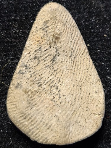 วัดบวรมงคล (วัดลิงขบ) กทม พระพิมพ์กลีบบัว แขน 2 ขีด