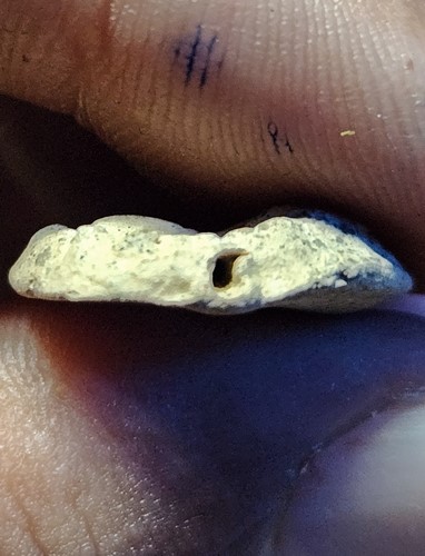 วัดบวรมงคล (วัดลิงขบ) กทม พระพิมพ์กลีบบัว แขน 2 ขีด