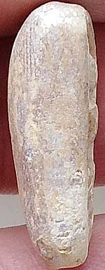 *สมเด็จมีกิน เนื้อผงน้ำมัน อาจารย์ลอย โพธิ์เงิน " พิธีจตุรพิธพรชัย " วัดรัตนชัย อยุธยา พ.ศ.๒๕๑๘*