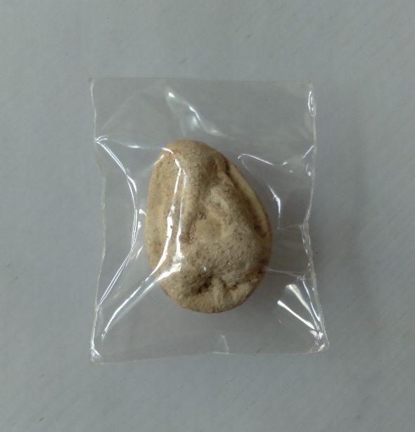 พระปิดตาไม่ทราบที่