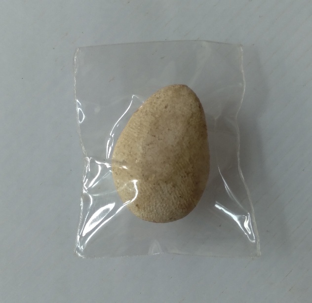 พระปิดตาไม่ทราบที่