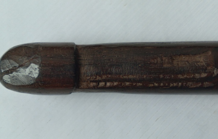 ปลัดขิกไม่ทราบที่