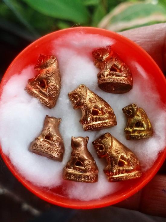 แจกทาน ๗ ตัว หลวงพ่อสมชาย วัดปริวาสราชสงคราม จ.กรุงเทพ 