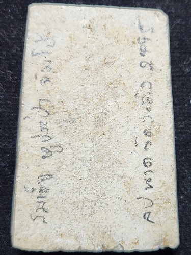 วัดระฆังโฆสิตาราม กทม พระสมเด็จหูประบ่า หลวงปู่นาค  พิมพ์จัมโบ้  ปี 2495