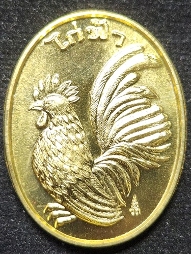 วัดถ้ำพรหมสวัสดิ์ ลพบุรี  เหรียญไก่ฟ้า หลวงพ่อสรวง รุ่นรวยทวีคูณ ปี2559