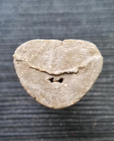 พ่อปู่ฤาษีนารอด ๒๕๔๖..เนื้อผงมงคล ไม่มีกล่อง..ล.พ.ดำ วัดเขาพูลทอง จ.จันทบุรี / จัดส่ง ems