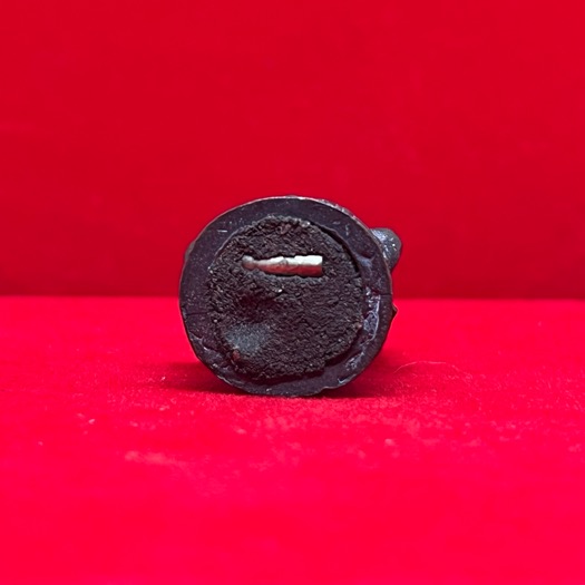 	รูปหล่อรอยองค์ 12 นักษัตร พระอาจารย์ต้อม วัดท่าสะแบง ก้นอุดมวลสารพุทธคุณฝังตะกรุดสร้างน้อยหายาก