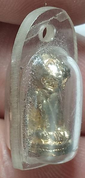 เสือเลี่ยมพลาสติก เนื้อกะไหล่ 