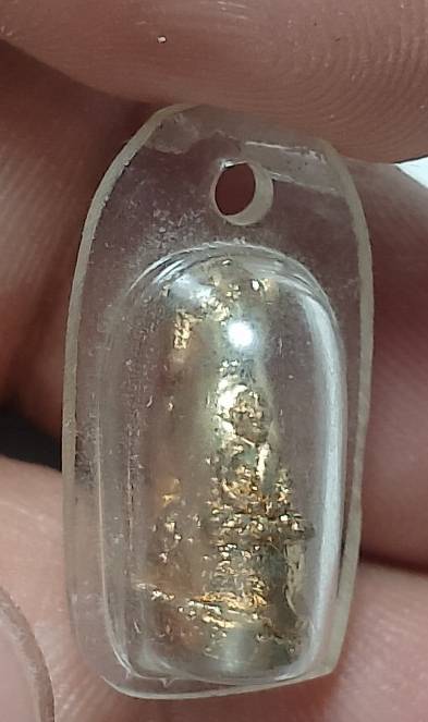 เสือเลี่ยมพลาสติก เนื้อกะไหล่ 