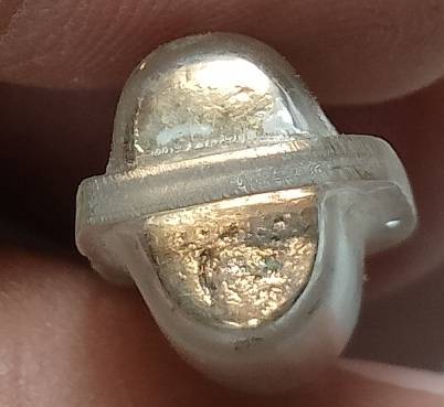 เสือเลี่ยมพลาสติก เนื้อกะไหล่ 