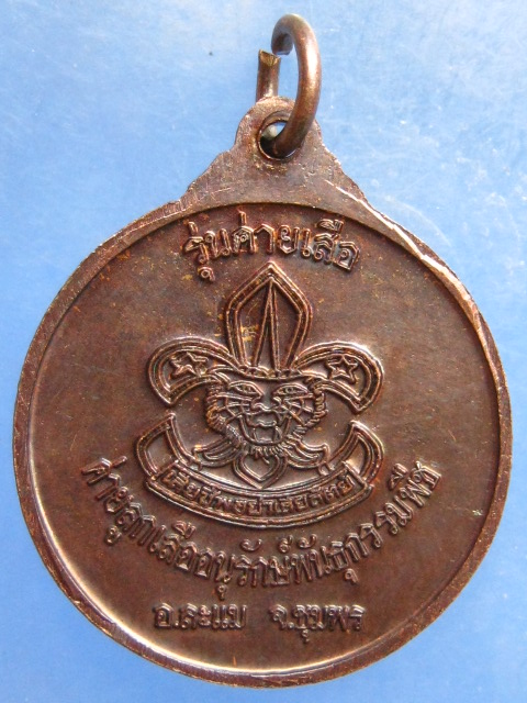 เหรียญหลวงพ่อชม วัดปากน้ำละแม ชุมพร รุ่นค่ายเสือ