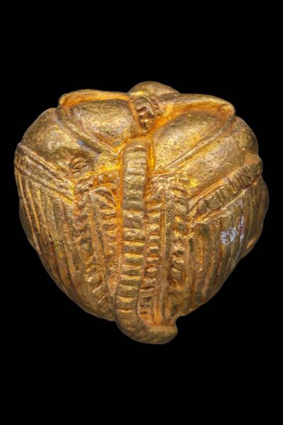 พระพิฆเนศปางอ้อมจักรวาล หลวงปู่หงษ์ พรหมปัญโญ เนื้อทองลำอู่ สุสานทุ่งมน จ.สุรินทร์  ปี2553