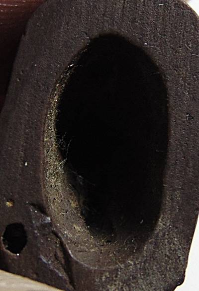 เสือโปร่งฟ้า หลวงพ่อปาน วัดคลองด่าน จ สมุทรปราการ