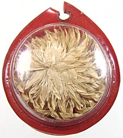 ดอกบานไม่รู้โรย หลวงพ่อแก้ว วัดหัวนา เพชรบุรี (รวยมิรู้สิ้น)