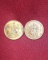 เหรียญพระแม่ลักษมี วัดแขก สีลม กทม. (2เหรียญ)