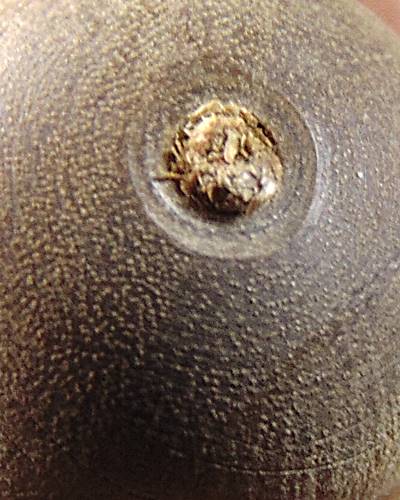 ลูกประคำโทน มหาเสน่ห์ วัดเสด็จ ปทุมธานี